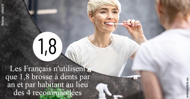 https://dr-bibas-alain.chirurgiens-dentistes.fr/Français brosses 2
