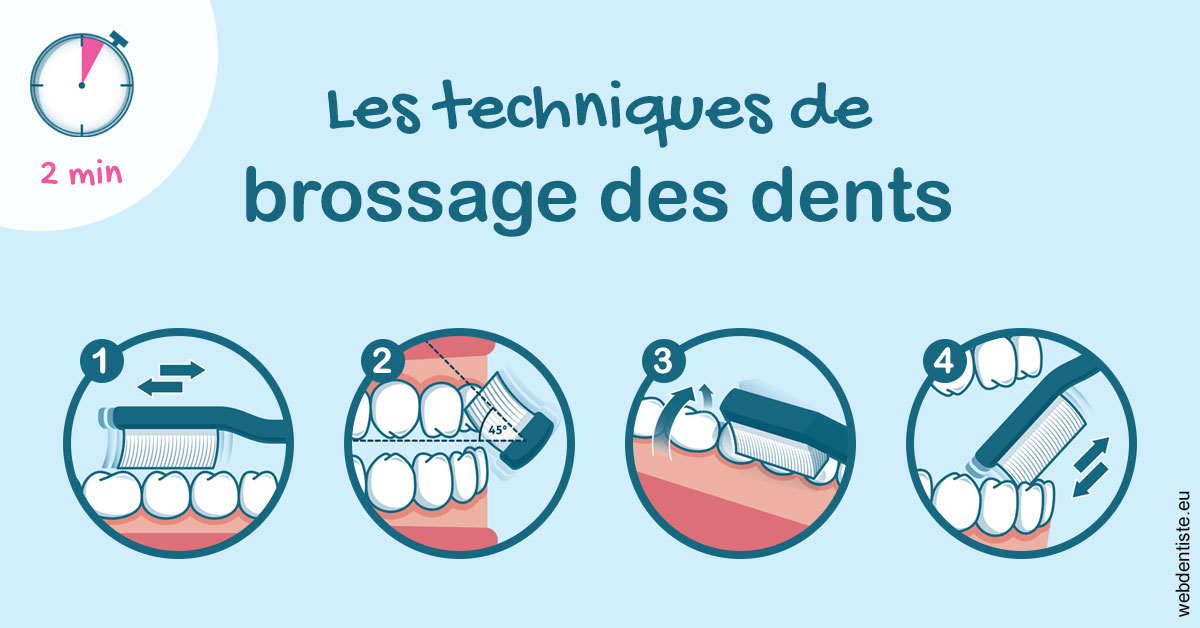 https://dr-bibas-alain.chirurgiens-dentistes.fr/Les techniques de brossage des dents 1