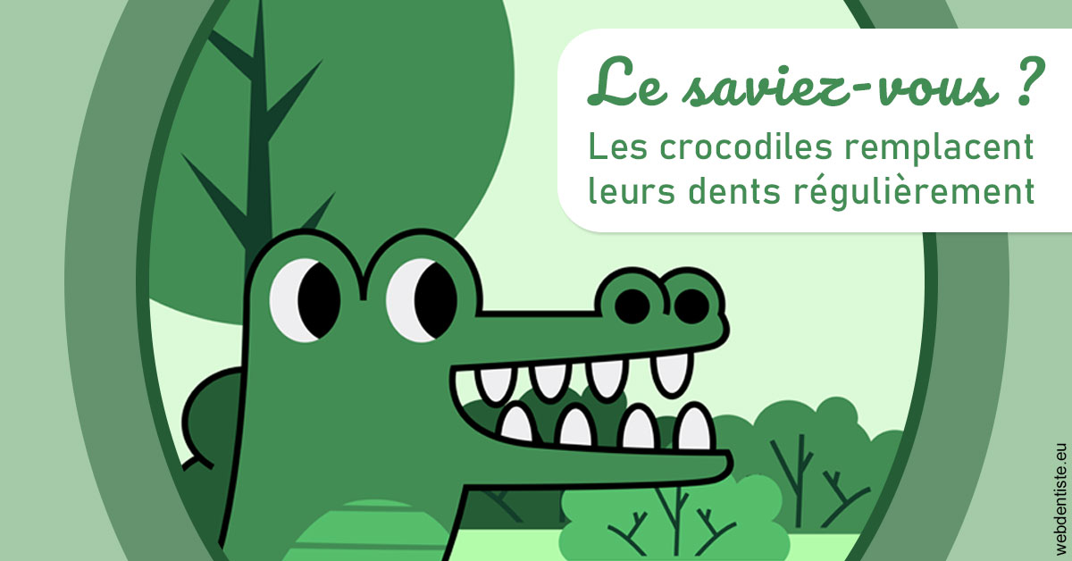 https://dr-bibas-alain.chirurgiens-dentistes.fr/Crocodiles 2